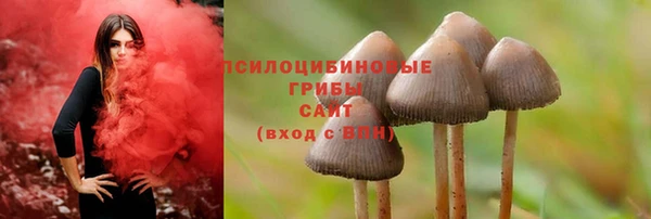 PSILOCYBIN Касимов