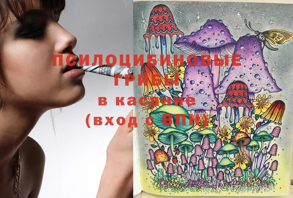PSILOCYBIN Касимов