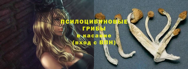 a pvp Туринск