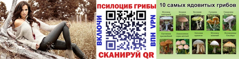 Купить Орлов Псилоцибиновые грибы MAGIC MUSHROOMS