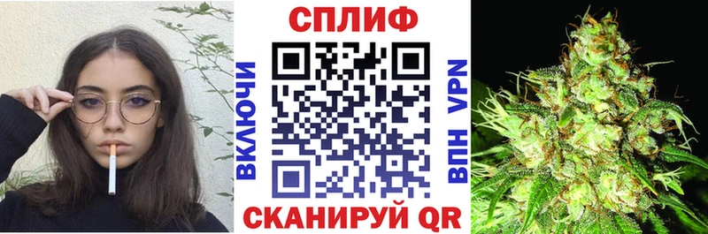 Купить  Орлов  Канабис MAZAR 